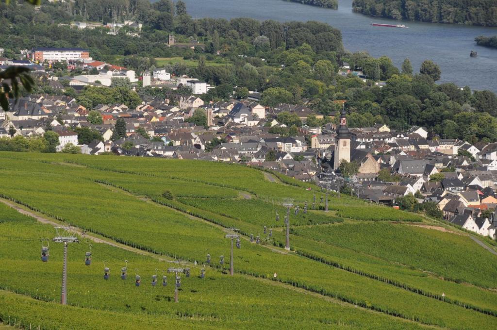 רודסהיים אם ריין Hotel Krone Ruedesheim מראה חיצוני תמונה